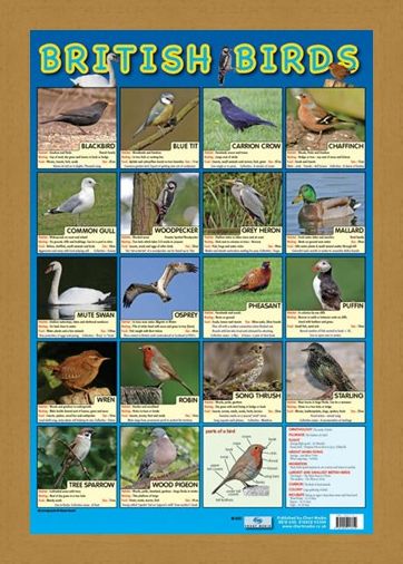Framed Framed British Birds - Native British Birds